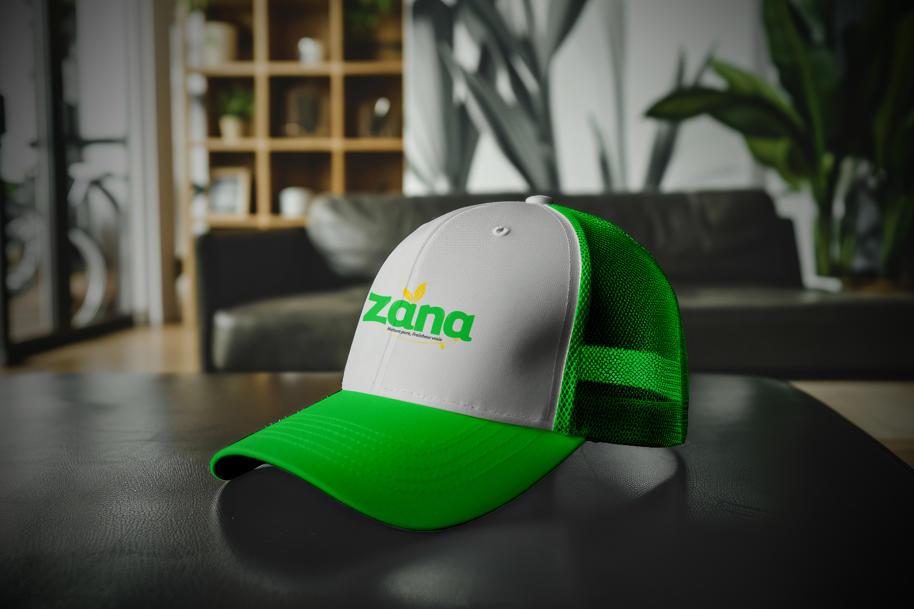 Image 1 - ZANA Afrique